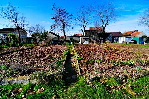 Jardin de Maud Couvert de feuilles